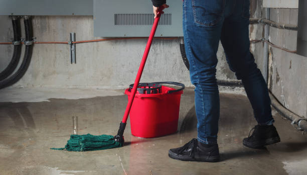 Best Mold removal after water damage  in Hayden, AL