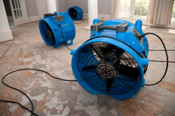 Water damage restoration experts in Hayden, AL