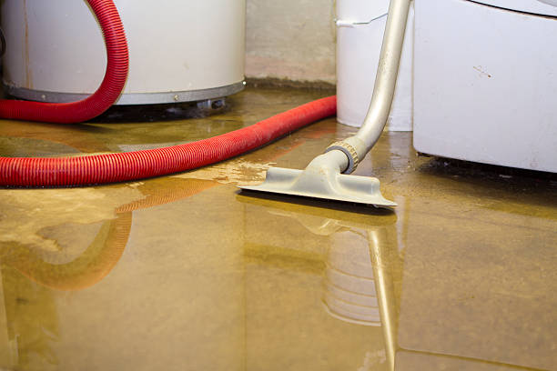 Best Water damage cleanup near me  in Hayden, AL