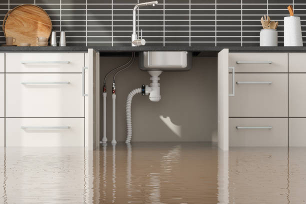 Best Ceiling water damage repair  in Hayden, AL
