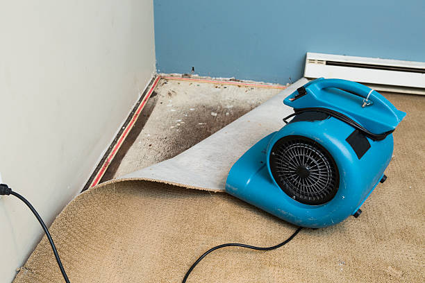 Best Residential water damage restoration  in Hayden, AL